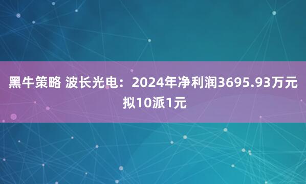 黑牛策略 波长光电：2024年净利润3695.93万元 拟10派1元