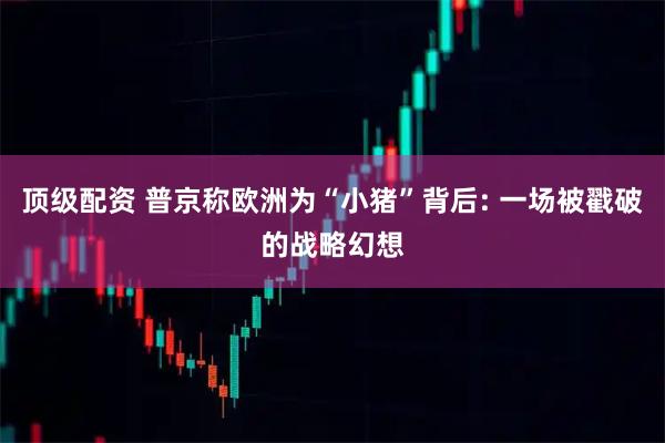 顶级配资 普京称欧洲为“小猪”背后: 一场被戳破的战略幻想