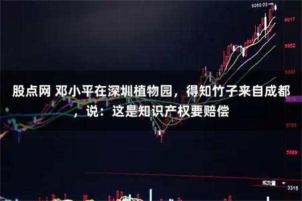 股点网 邓小平在深圳植物园，得知竹子来自成都，说：这是知识产权要赔偿